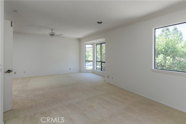 Building Photo - 12235 Shady Hollow Ln