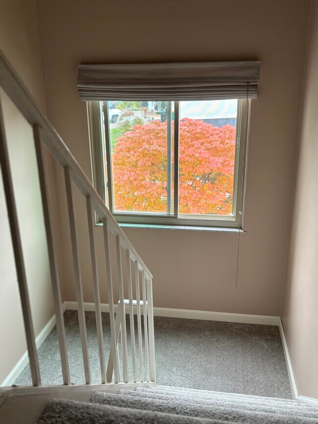 Building Photo - 3193 Camberly Dr