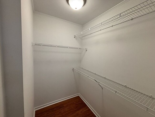 Building Photo - 1557 Blaze Ln