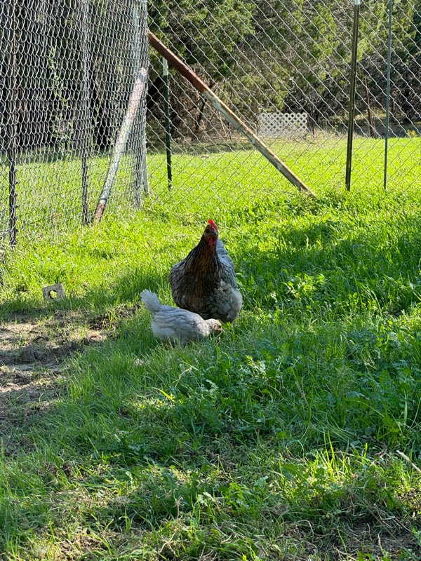 Building Photo - 836 Bluestem Dr