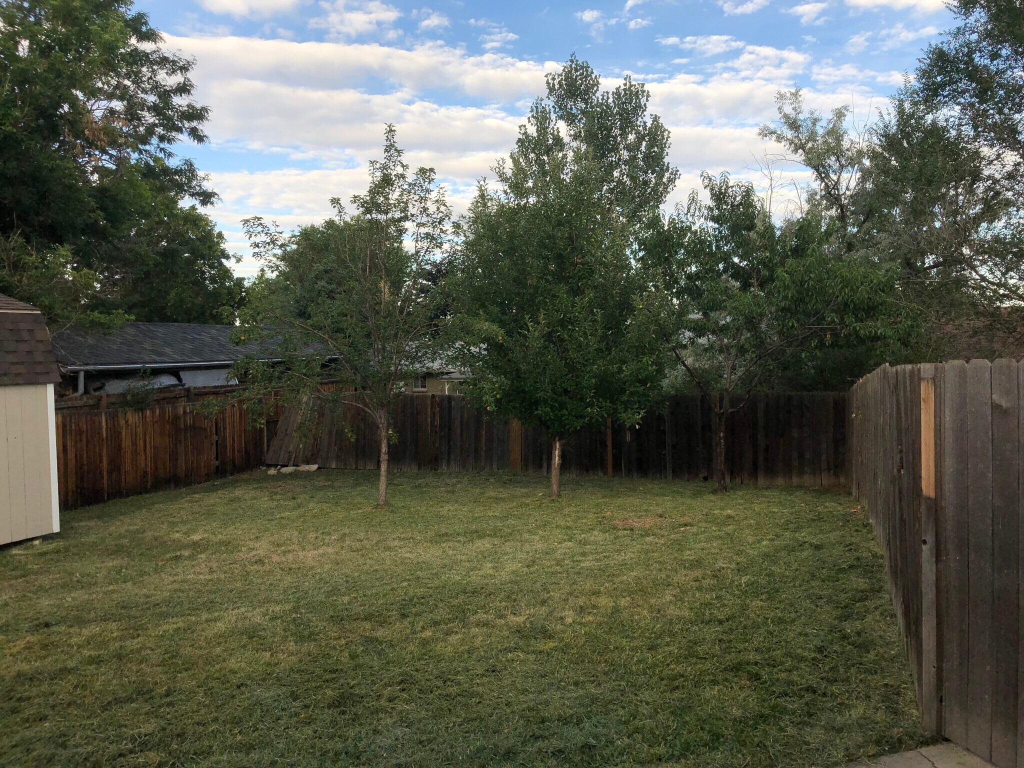 fenced backyard - 828 Ulysses St