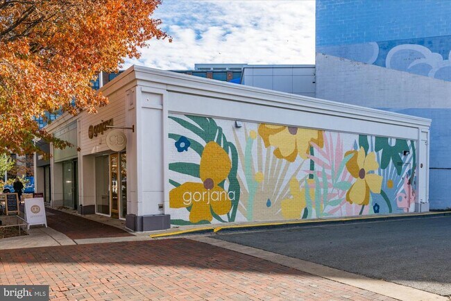 Building Photo - 4915 Hampden Ln