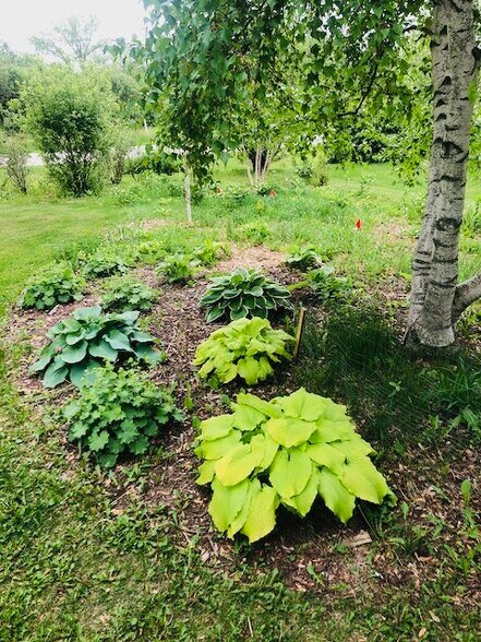 Building Photo - 2521 Williams Dr