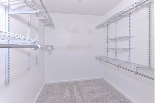 Building Photo - Updated, Spacious, Large Backyard in Newpo...