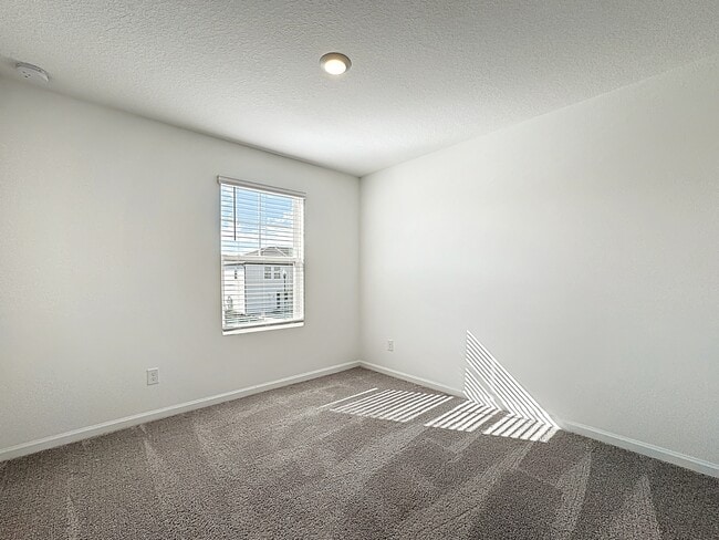 Building Photo - 5941 Piney Shrub Pl