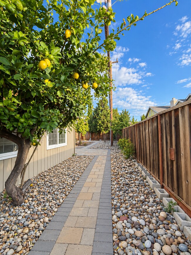 Building Photo - 4610 Chateau Park Ct