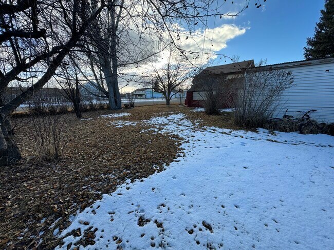Backyard - 110 Elm St