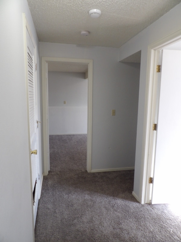 Building Photo - 4702 Witches Hollow Ln