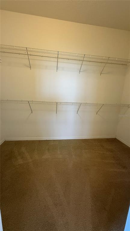 Building Photo - 4525 Settlement Cir
