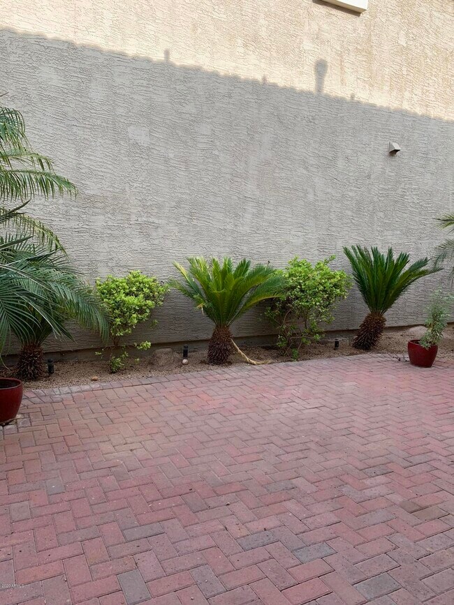 Building Photo - 3854 E Sabra Ln