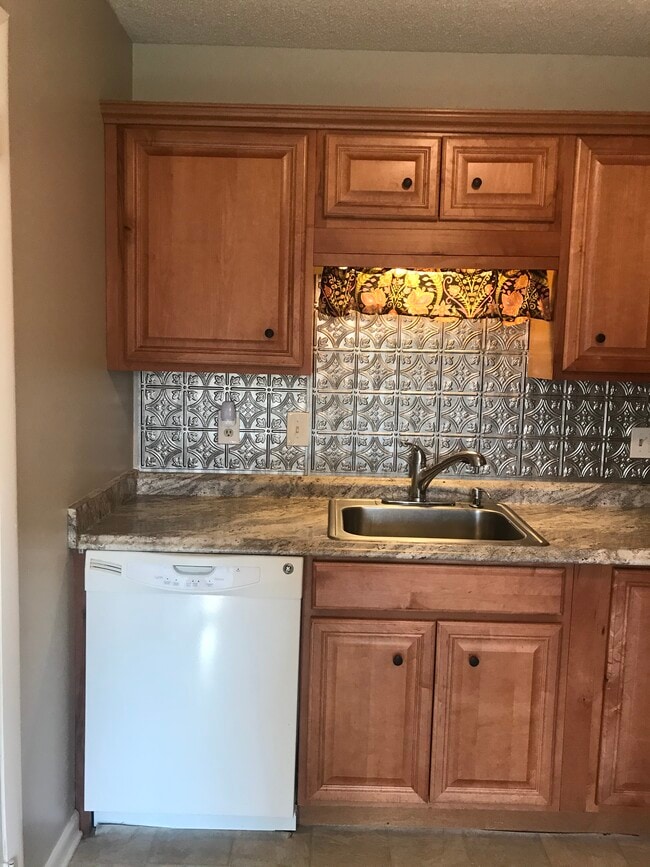 Sink and dishwasher - 723 Mercer Dr