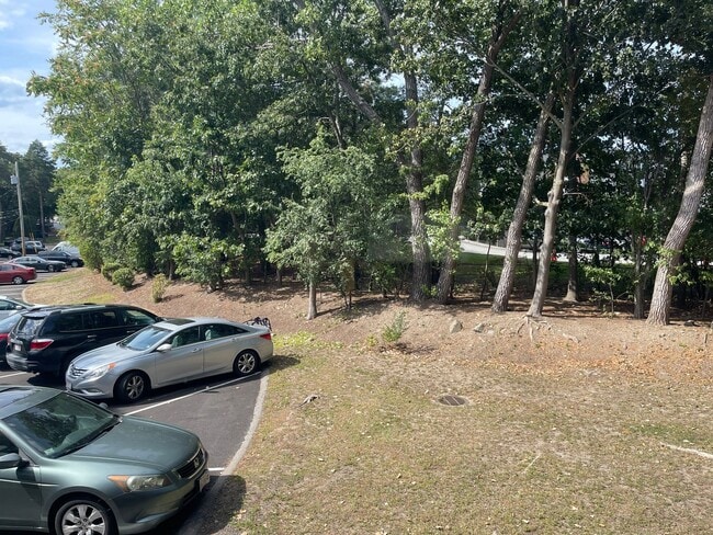 Building Photo - Older renovation but very nice layout 2 bed .  ht Hw Inc No Fee Next 1 FREE MONTH