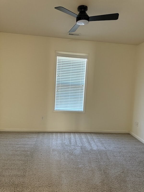 Building Photo - 2809 Fountaingrass Ln