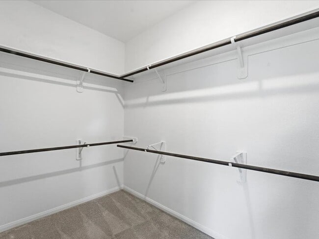 Building Photo - 10105 Waterwall Ln