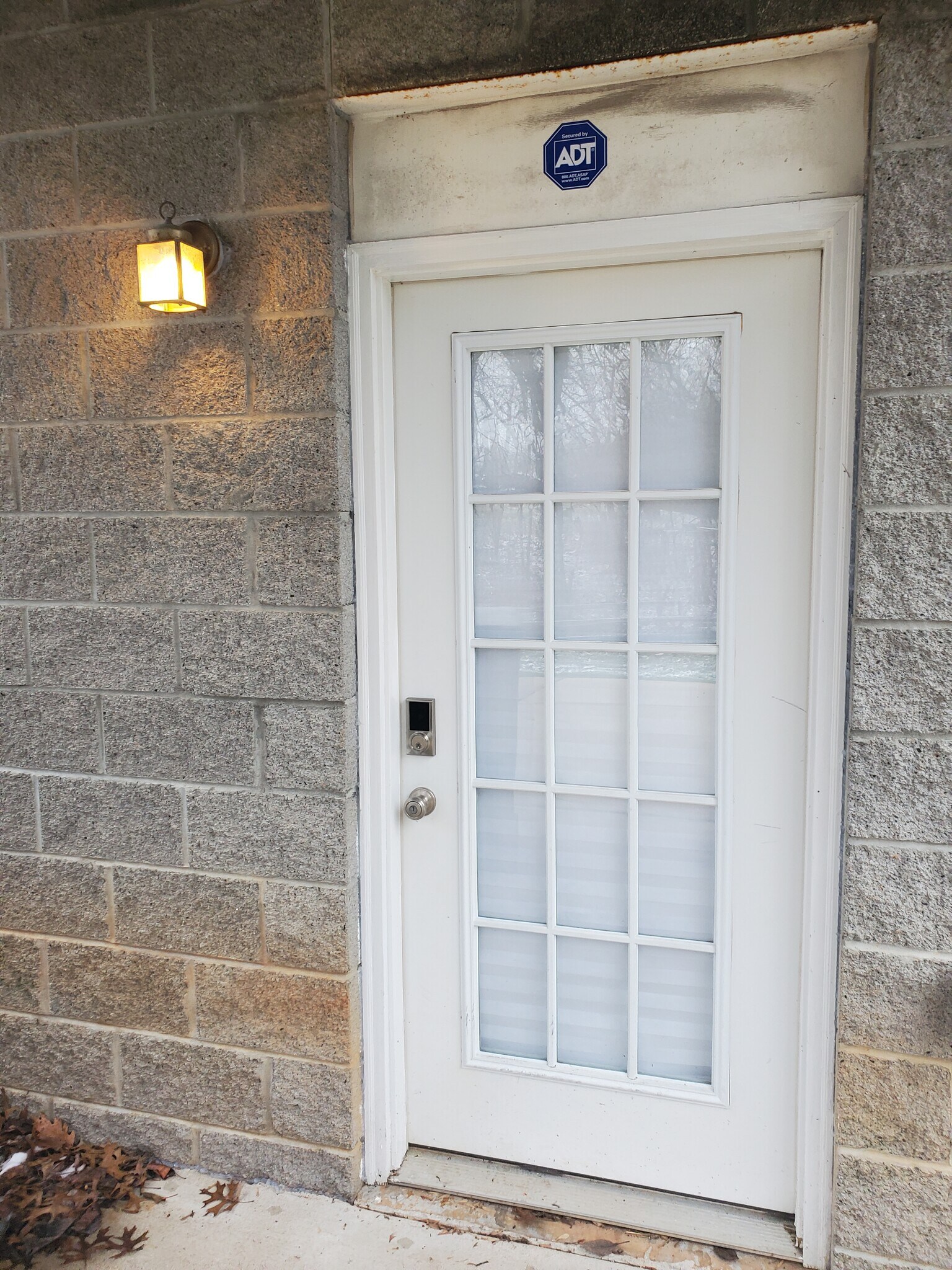 Building Photo - 239 Senator Dr