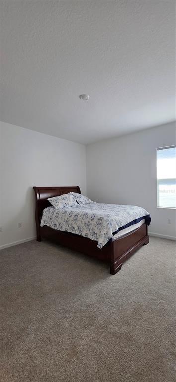 Building Photo - 299 Bottle Brush Dr