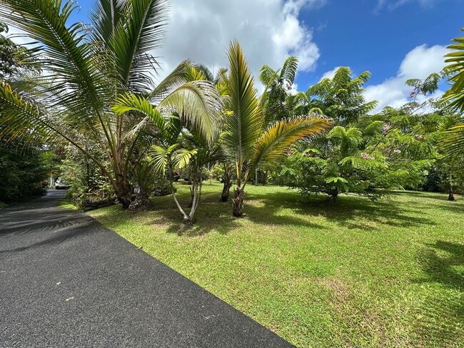 Building Photo - 1bd & 1 1/2 ba Fully Furnished & Move in Ready & all appliances included