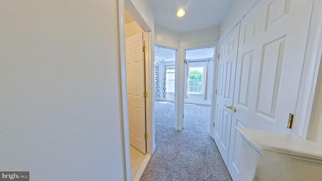 Building Photo - 3905 Chelsea Park Ln