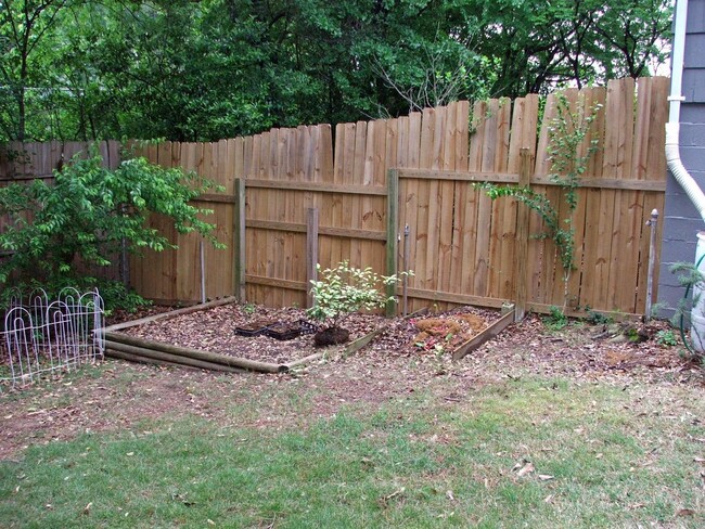 Building Photo - Cute 3 bedroom, 1 bath house in Homewood!