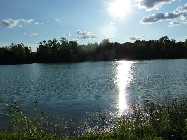 Building Photo - 11737 21 Mile Rd