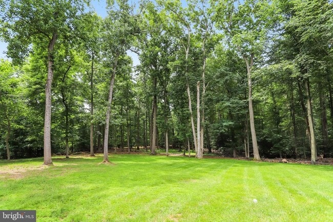 Building Photo - 11109 Elmview Pl