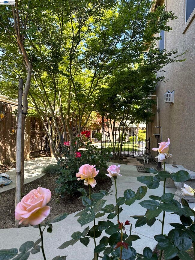 Building Photo - 2301 Mountain Springs Dr