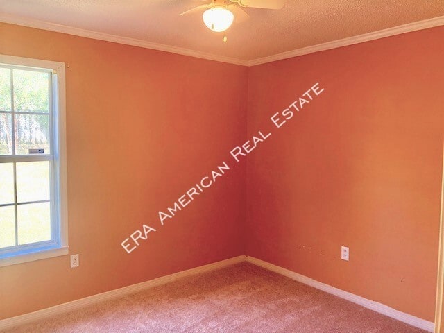 Building Photo - 150 Nicole Ln