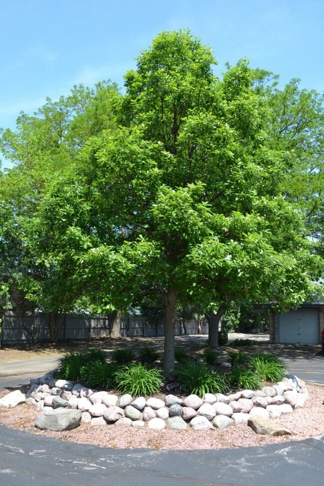 Building Photo - Private entry, Park-Like setting