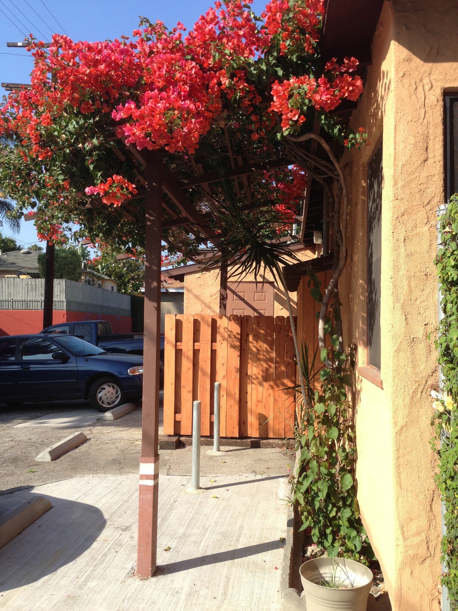 Building Photo - 1745 Silver Lake Blvd