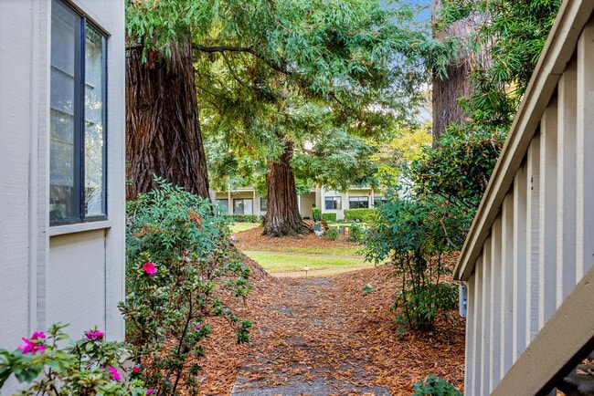 Building Photo - 50 Horgan Ave