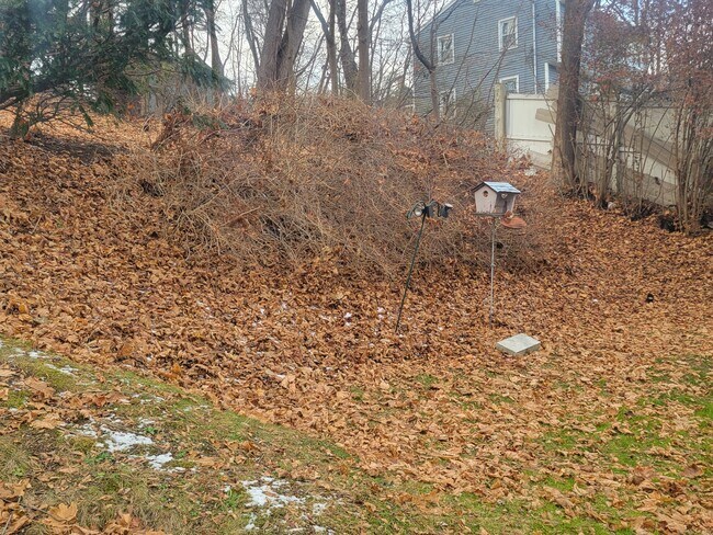 Building Photo - 12 Division St