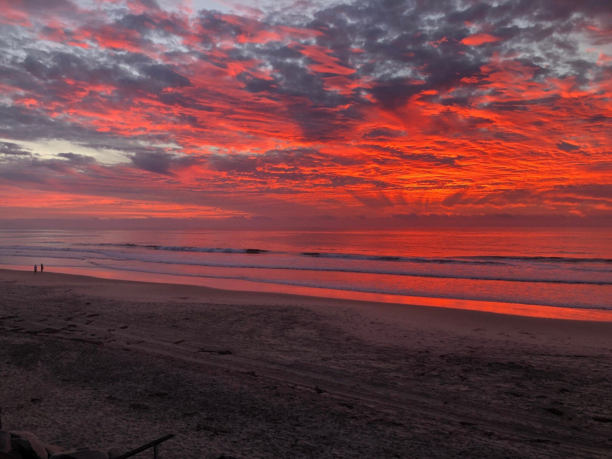 Building Photo - 1320 Seacoast Dr