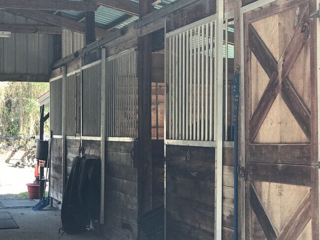 Building Photo - Horse property in St. Johns County