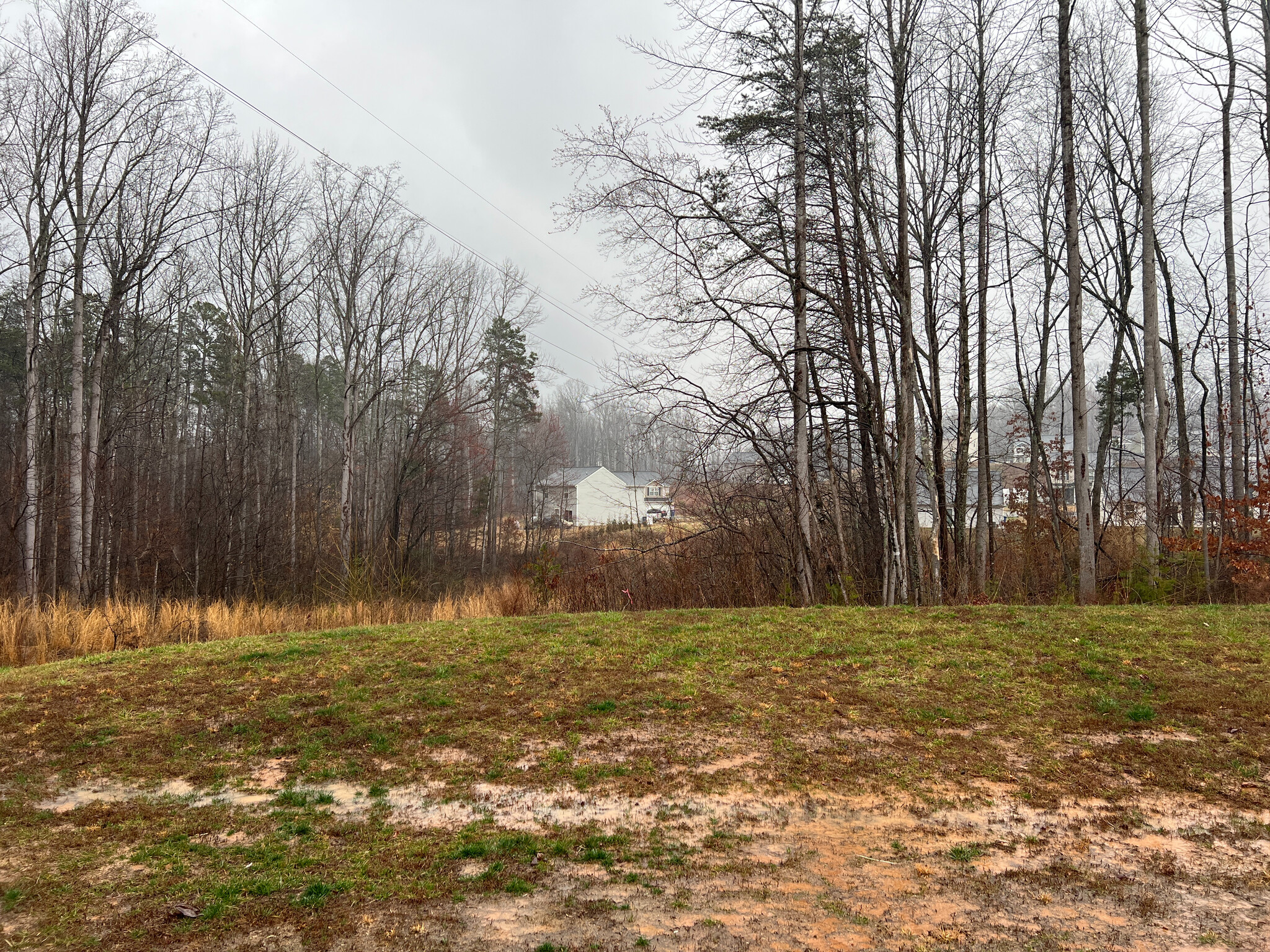 Building Photo - Room in House on Fallen Tree Dr