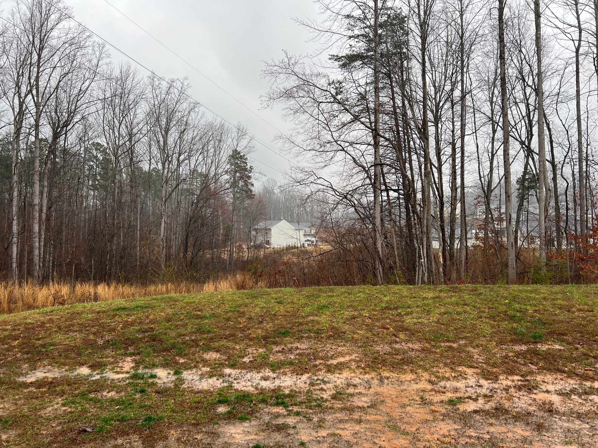 Building Photo - Room in Single Family Home on Fallen Tree Dr