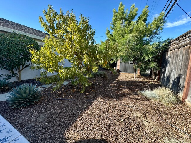 Building Photo - UPGRADED CHARMER NEAR WILLOW GLEN'S KIRK PARK