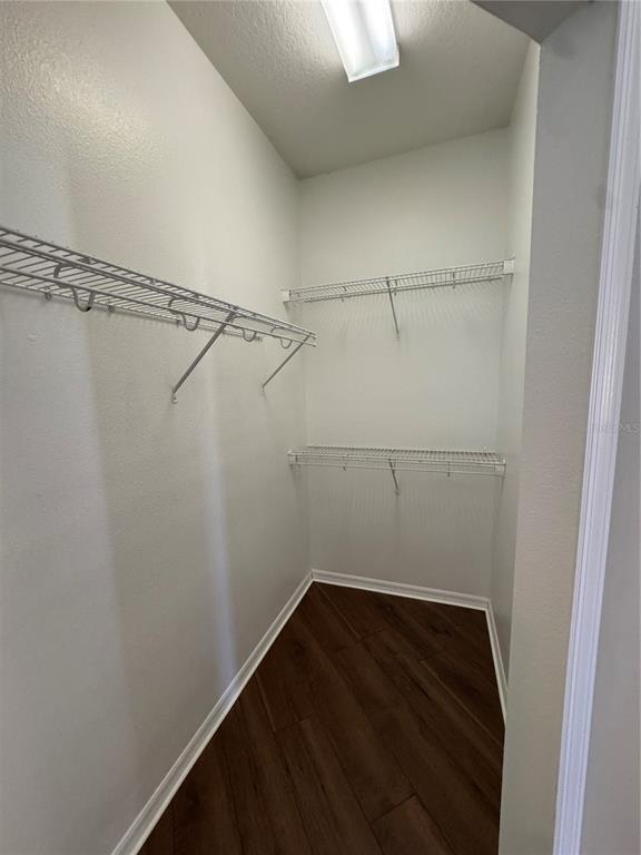 Building Photo - 4269 Heirloom Rose Pl