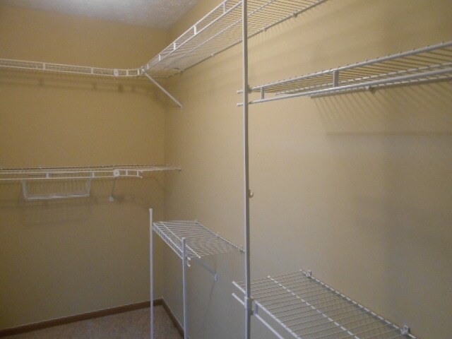 Building Photo - 5104 Blossom Ct