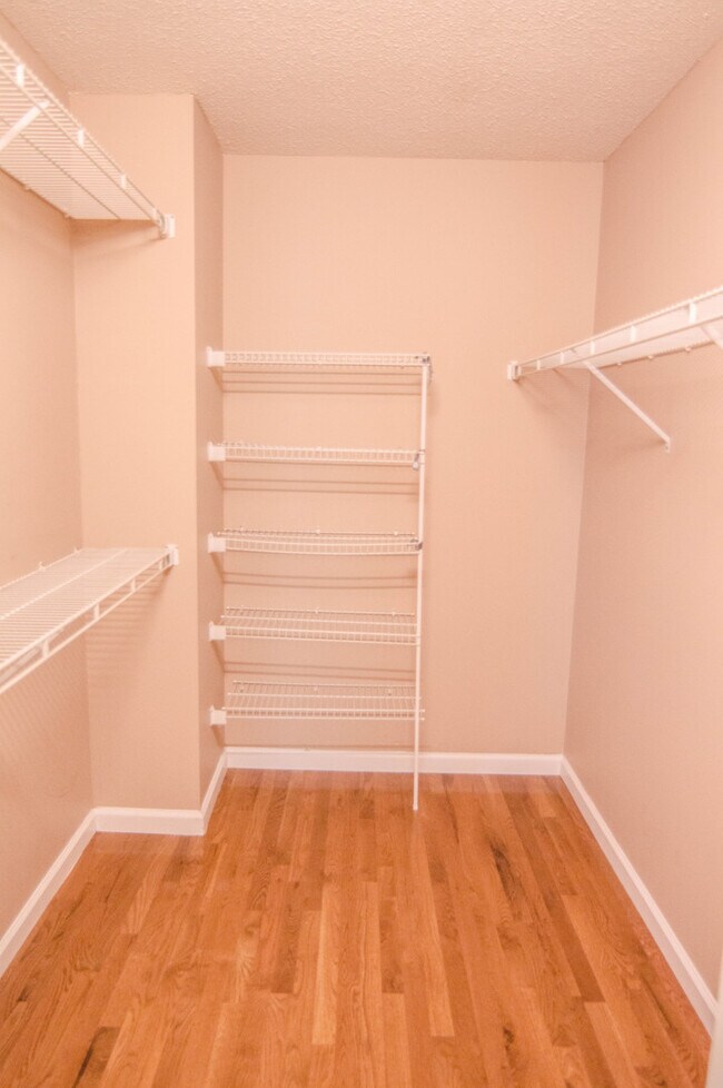 Building Photo - Three Bedroom in Sango!
