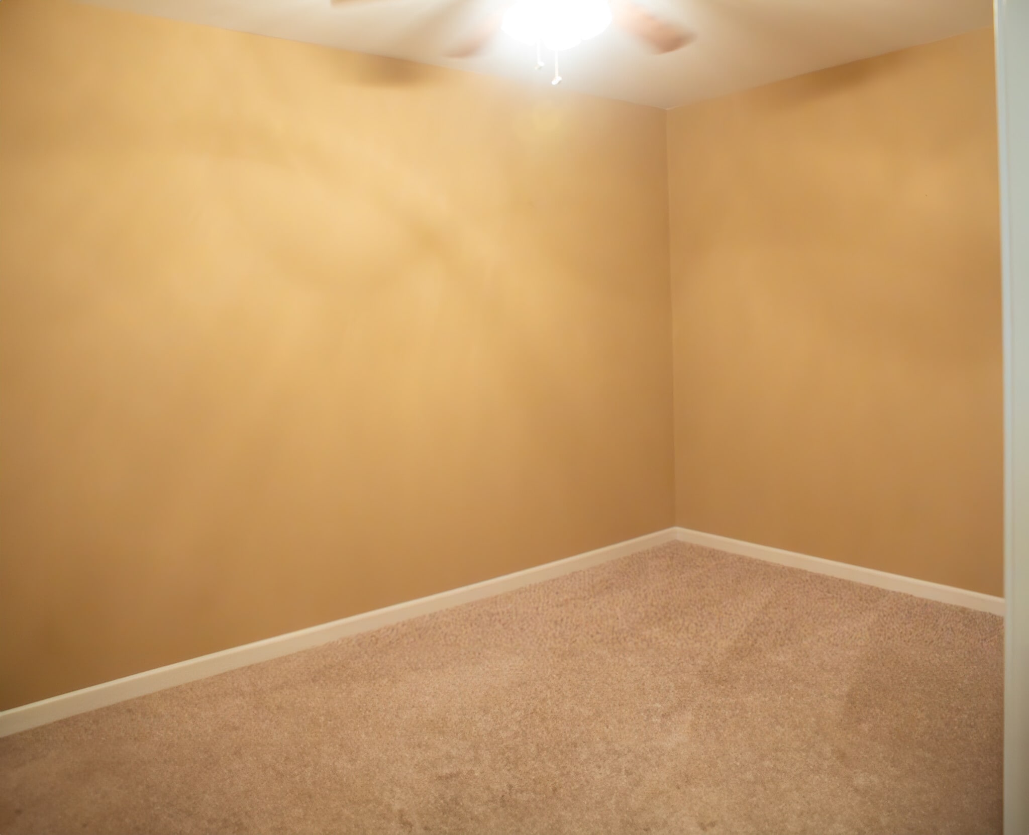 Basement Extra Room - 2142 Oxford Dr