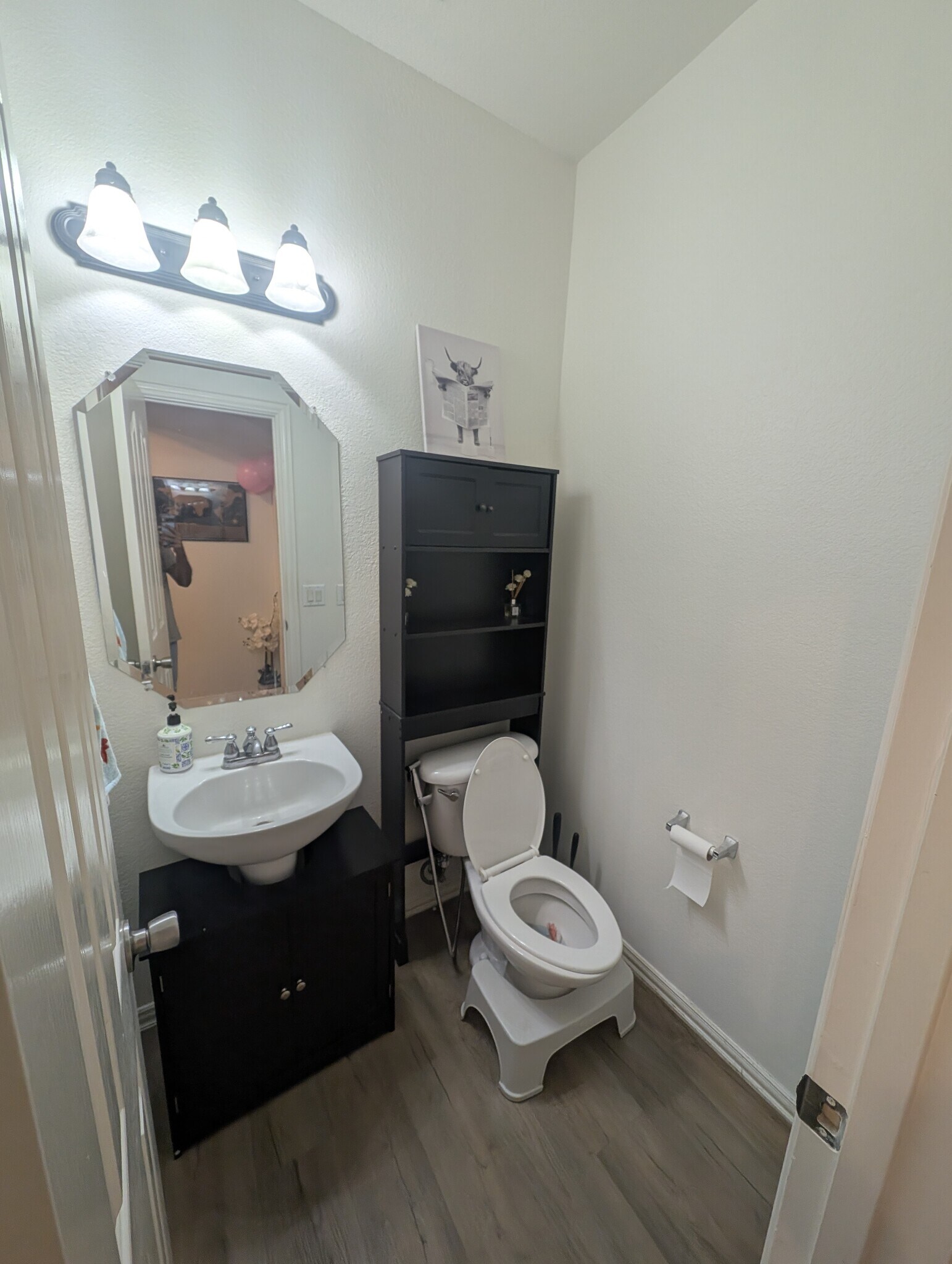 Building Photo - 1309 Chase Trl