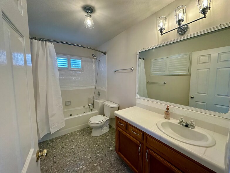 Primary Bathroom with updates (new toilet and faucet installed but not pictured). - 221 Appy Way