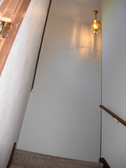 Building Photo - 2200 Frisch Rd