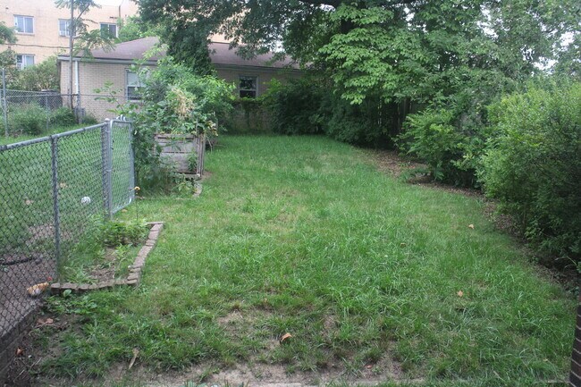 Back Yard - 5573 Pocusset St
