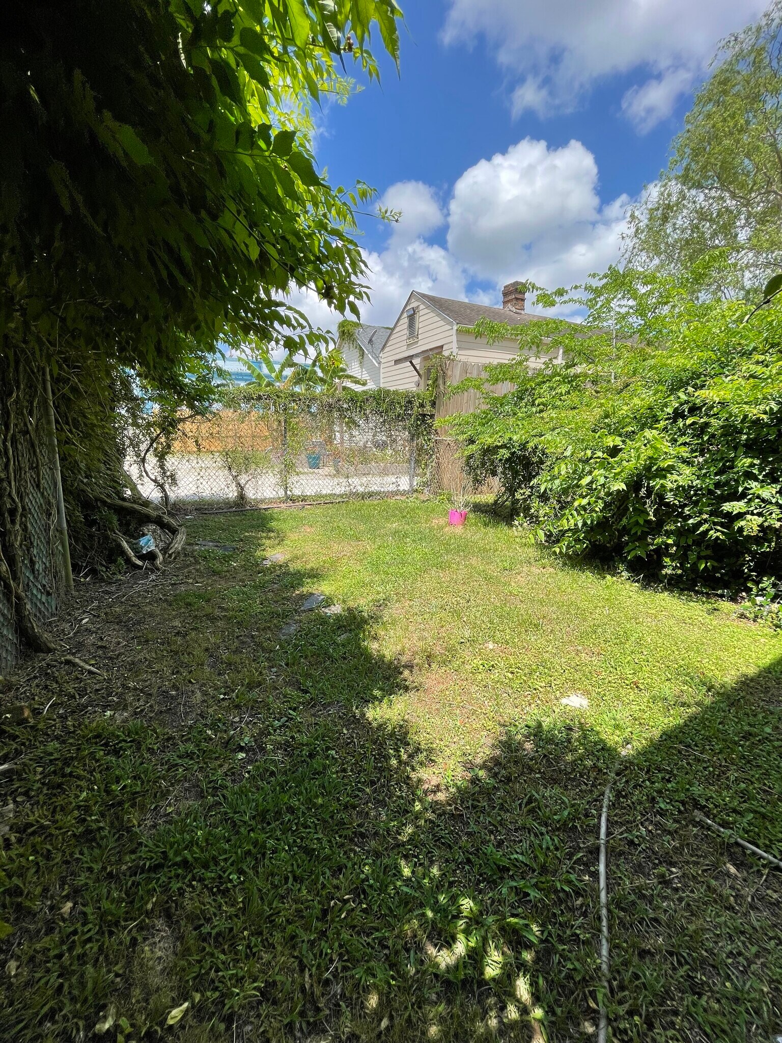 Yard - 2420 Jena St