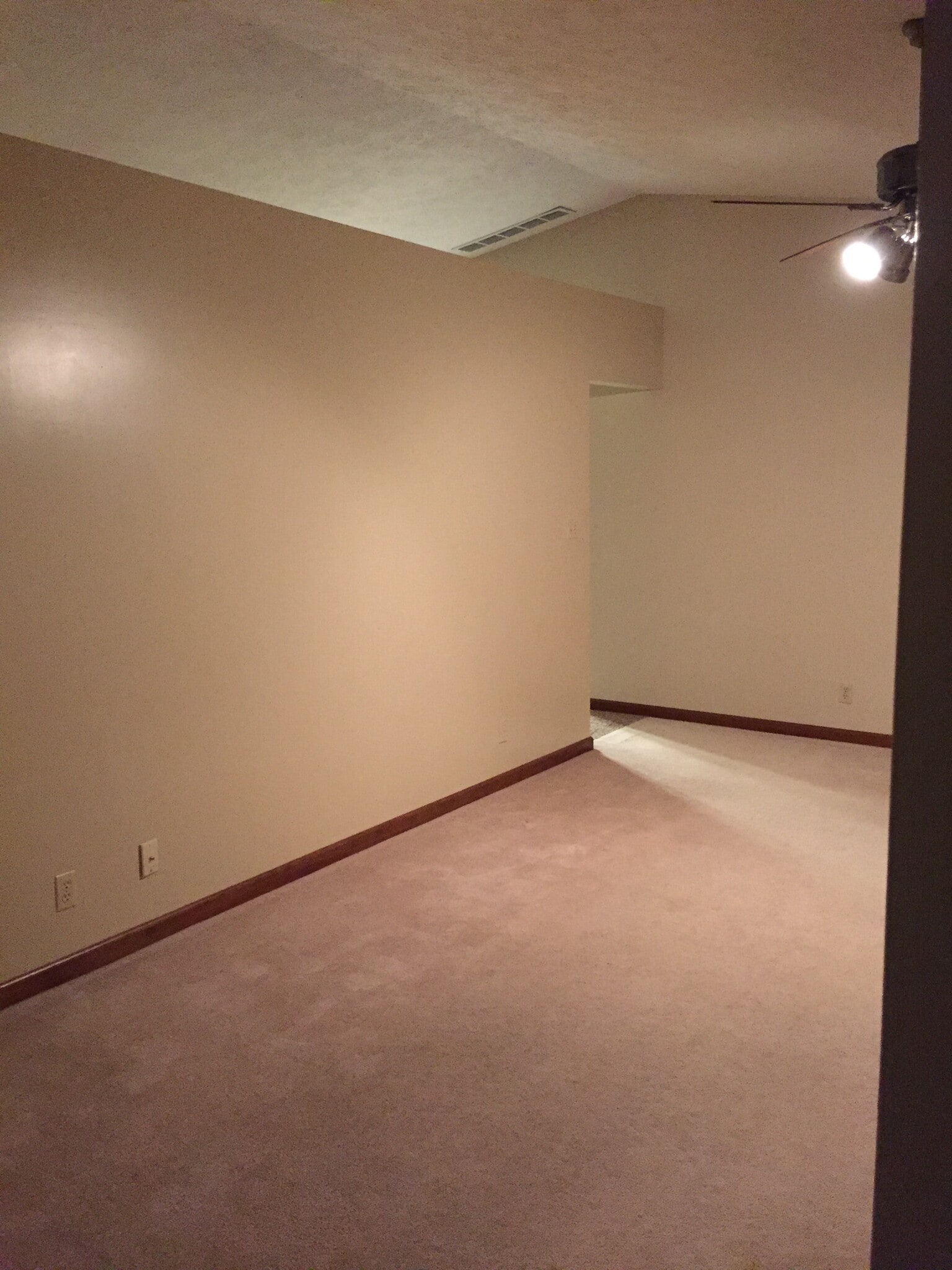 Living room - 380 Ironwood Dr