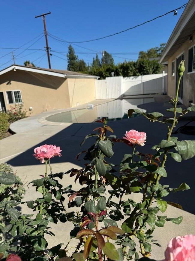 Building Photo - Private HOME 3bed/2 bath + POOL in Woodland Hills! NO OTHER UNIT ON THE PROPERTY!!!!