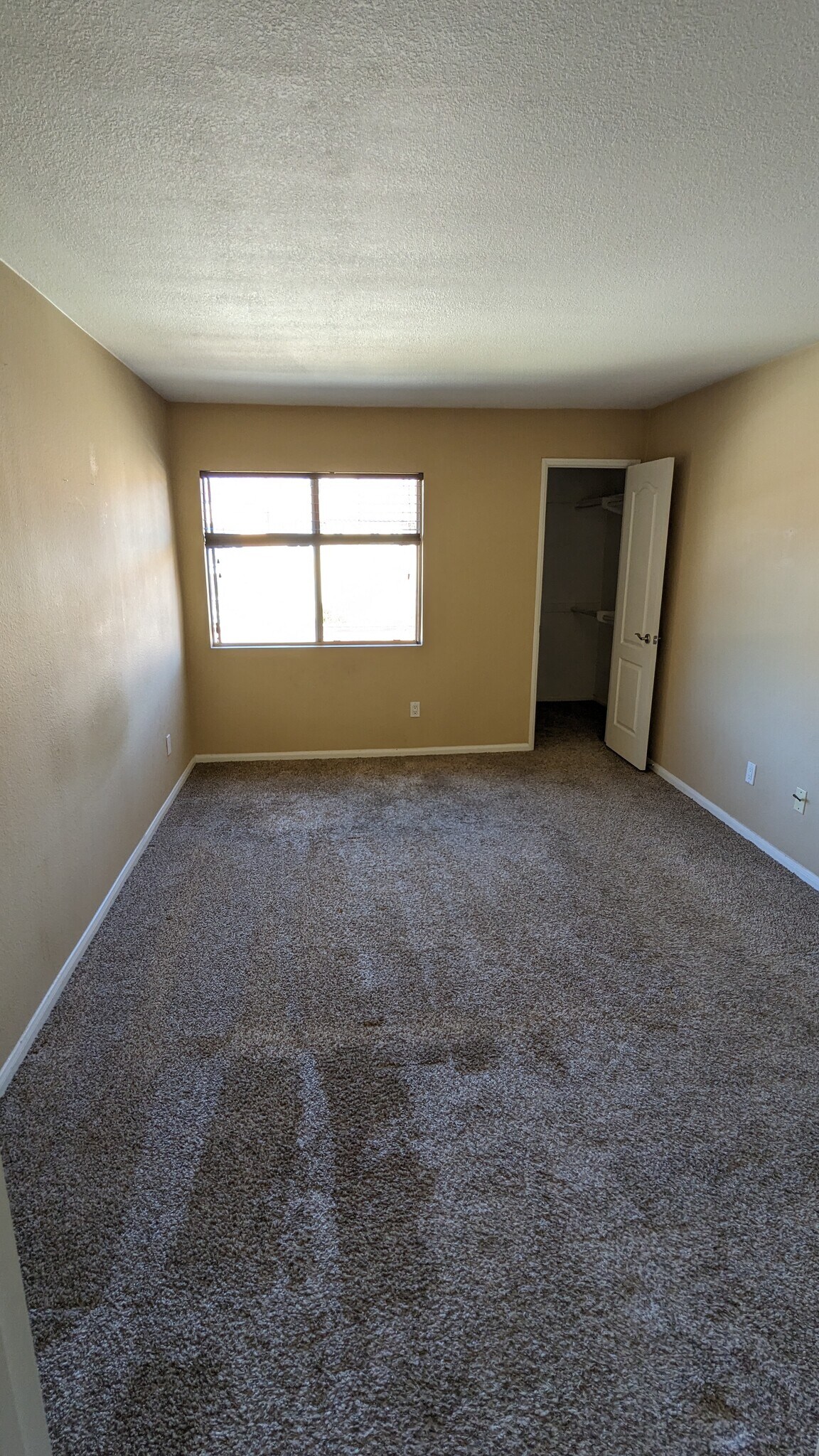 Building Photo - 7150 Shoreline Dr
