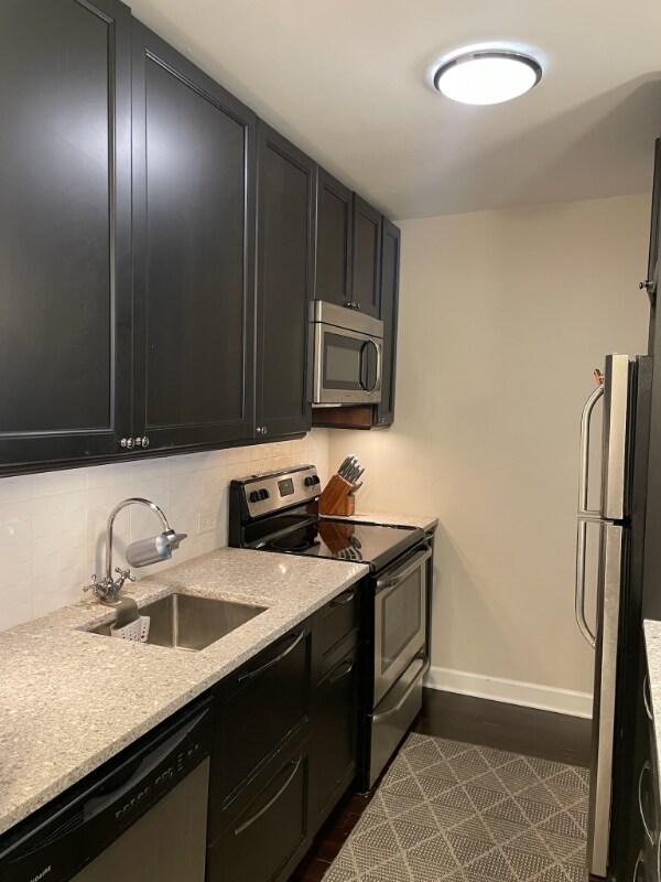 Building Photo - 535 N Michigan Ave