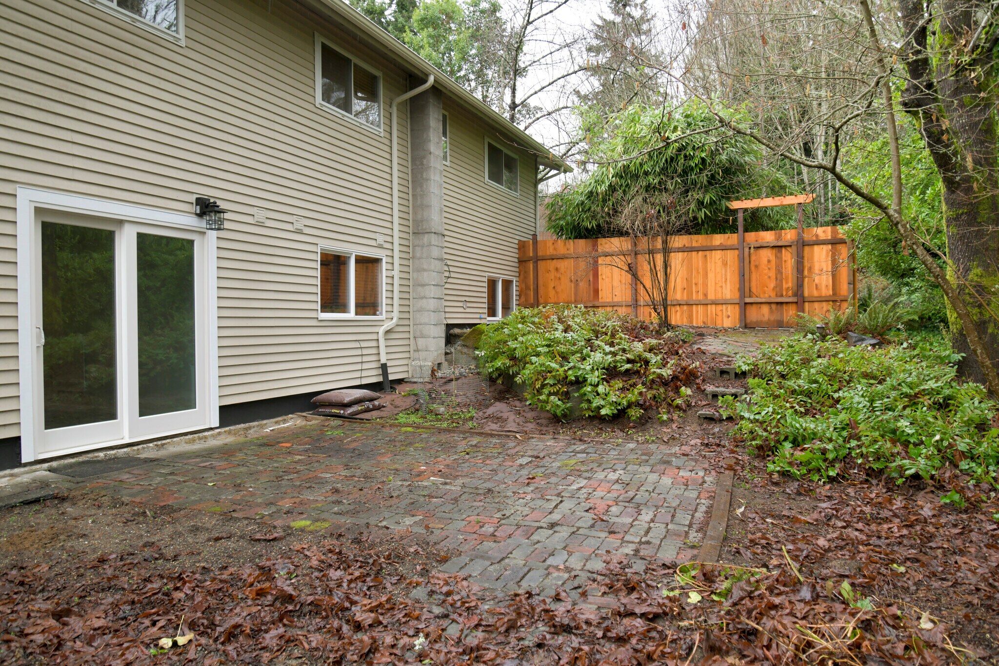 Back yard - 809 S Summit Ave